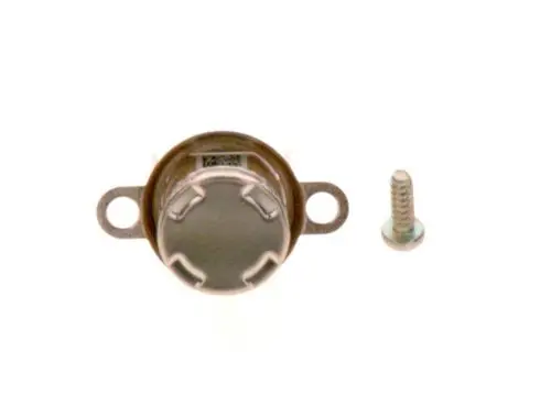 BOSCH Temperaturfühler mit runder Metalloberfläche und zwei Befestigungslöchern, daneben eine Schraube.